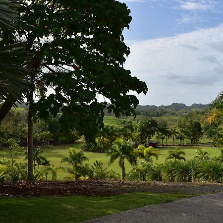 Hotel Hacienda Agroturistico Vista Hermosa Camuy Exterior photo